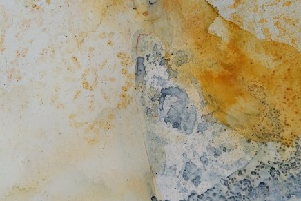 mökki hernepellon laidalla