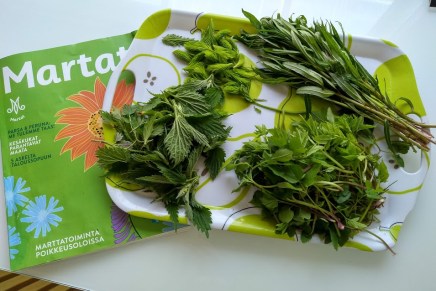 neljä parasta villivihannesta