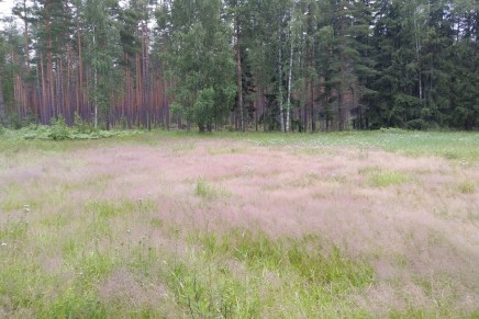 elämää juhlaviikkojen jälkeen