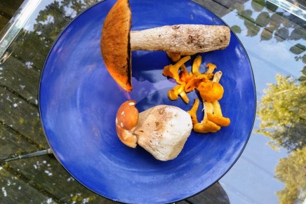 lehtikaalia ja metsäsieniä