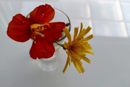 hiljaiseloa mökillä