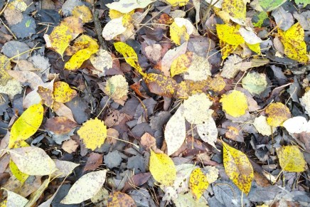 jäähyväiset kesälle