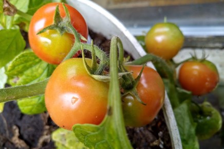 kun hän nosti&nbsp;hattuaan