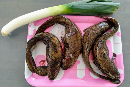 madekeittoa ja paahdettuja&nbsp;sipuleita