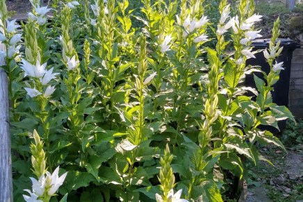 kuumia päiviä ja trooppisia&nbsp;öitä