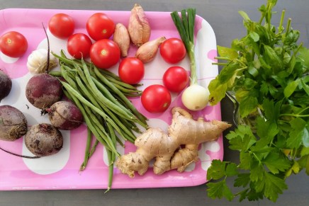 punajuuria ja pensaspapuja