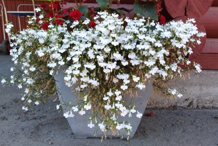 lämmintä ja kosteaa