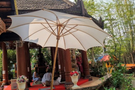 helmin tarina – puolialastomat viidakossa osa&nbsp;5