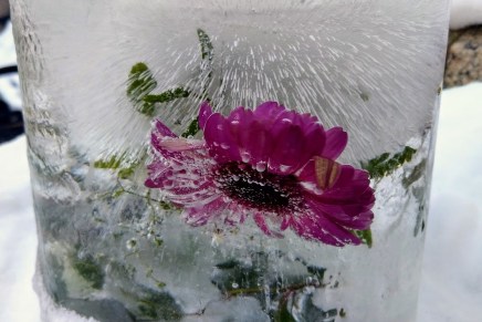 helmin tarina – ylitsevuotavia maljoja osa&nbsp;3