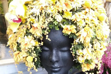 helmin tarina – vain hyviä&nbsp;ennustuksia