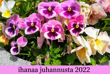 luvassa helteinen juhannus
