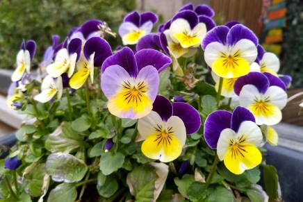 onni on uusi&nbsp;koti