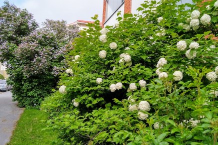 melkein mökkilomalla