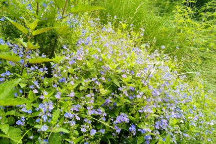 vihdoinkin mökkilomalle