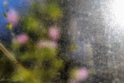 hämärän keskellä valopilkkuja – kesä&nbsp;2022