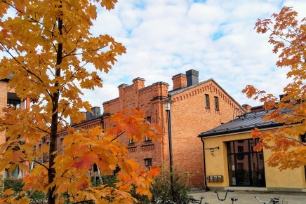 keltaista ja oranssia