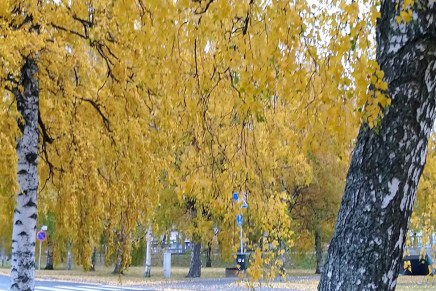 syyslomaviikko alkoi sateisena