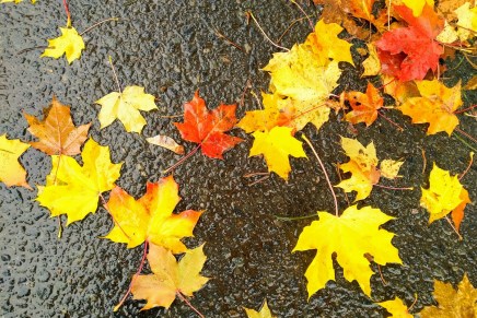 toinen yksinäinen vuosi&nbsp;alkoi