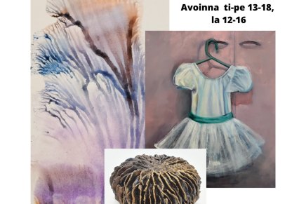 tammikuun yllätysnäyttely