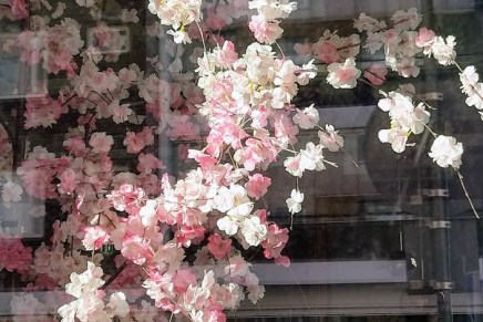 parvekekausi on avattu