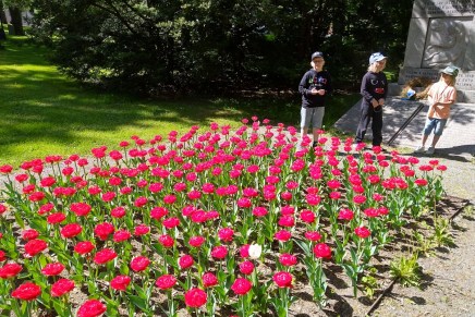 mökkikausi on alkamassa