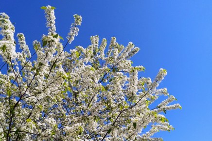 kesän tuntua pienten järkytysten&nbsp;jälkeen