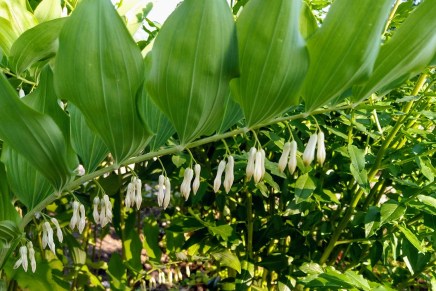 heinäkuu alkoi koleana