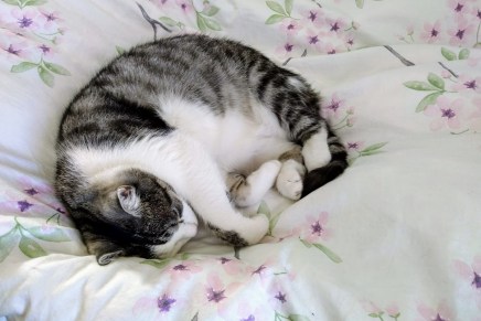 arkea lomalaisten lähdettyä