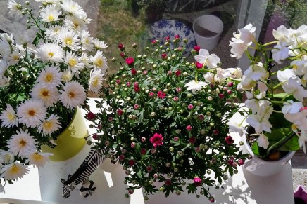 loppukesän kotimaalari