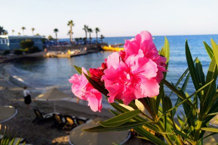 vielä kreetatunnelmissa