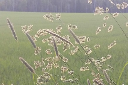 missä mennään, syysmietteitä&nbsp;2023