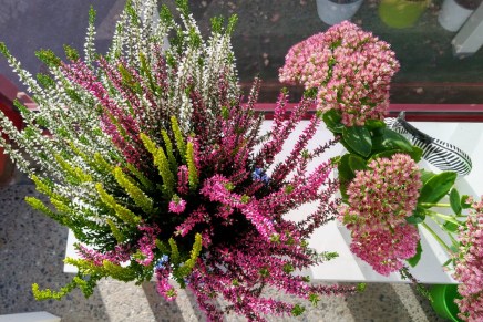 syksy on puolessa&nbsp;välissä