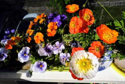 luvassa ennätyskuuma viikko