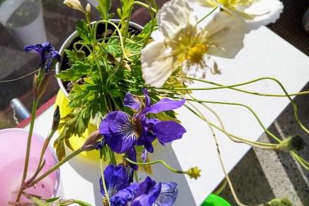 viileä viikko kaupungissa