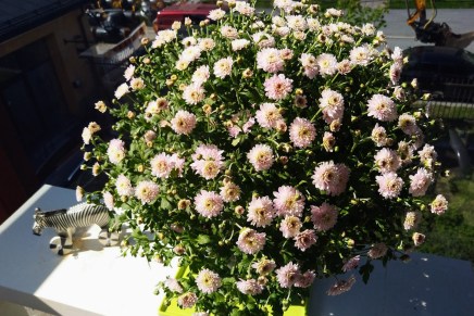 heinäkuu jo loppusuoralla