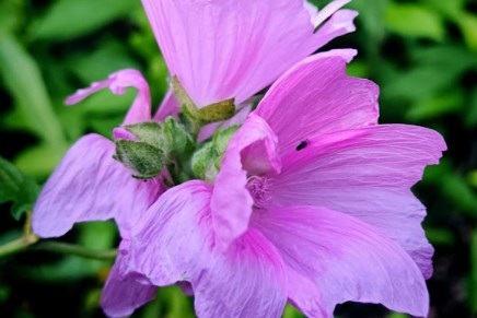 tukalaa hellettä ja&nbsp;sadekuuroja