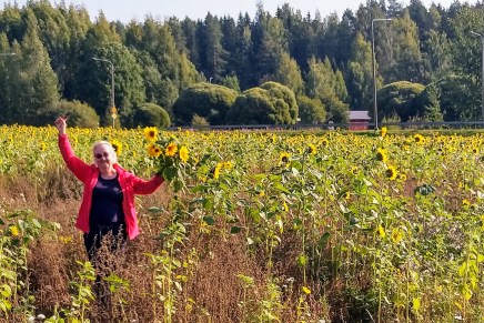 elokuisia aurinkopäiviä