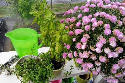 yllättävän lämmintä