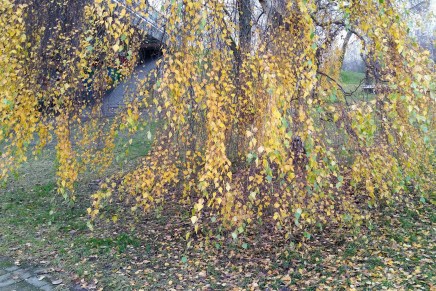 toisenlaisia tarinoita