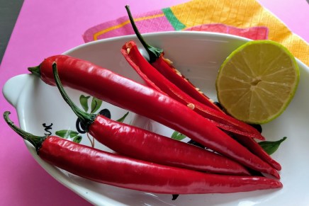 lempeä punainen chili