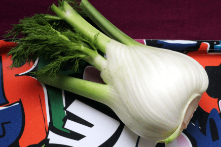 mitä kokata fenkolista?