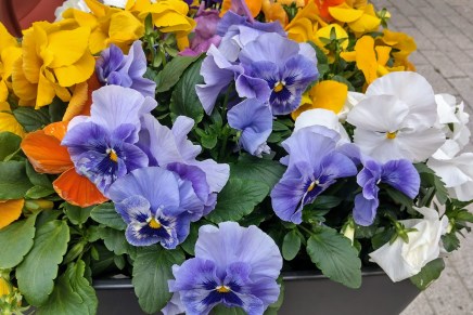 kesäisiä kaupunkipäiviä