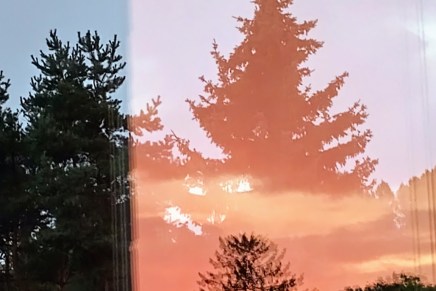 innoittajana sananhaltija