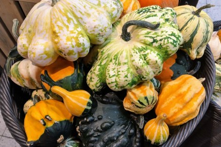 pyhäinpäivä – kekri –&nbsp;halloween