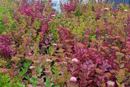 lämmintä ja kosteaa