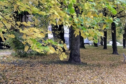 lomalaiset tulivat ja&nbsp;menivät