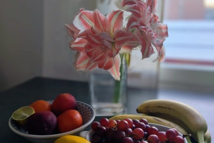 tammikuussa syödään terveellisesti