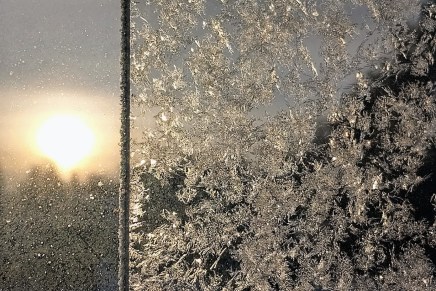 tehokas tammikuu – toinen&nbsp;viikko