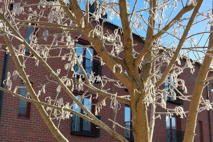 mama kaipaa kevätaurinkoa