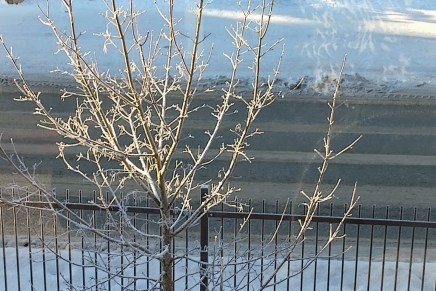 huh – pakkaset&nbsp;jatkuvat